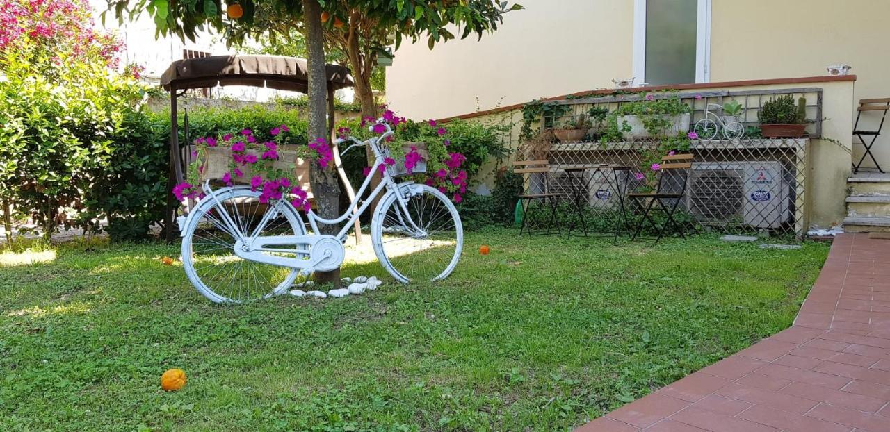 Villa Noemi Bed&Breakfast Пиза Экстерьер фото